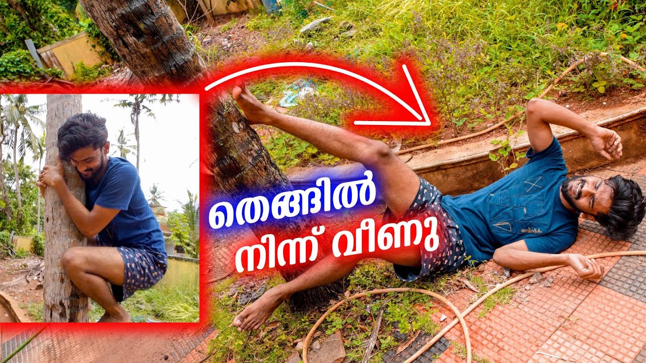 ഇത് PRANK അല്ല 🥵 തെങ്ങിന്ന് റാഷി വീണു 😭