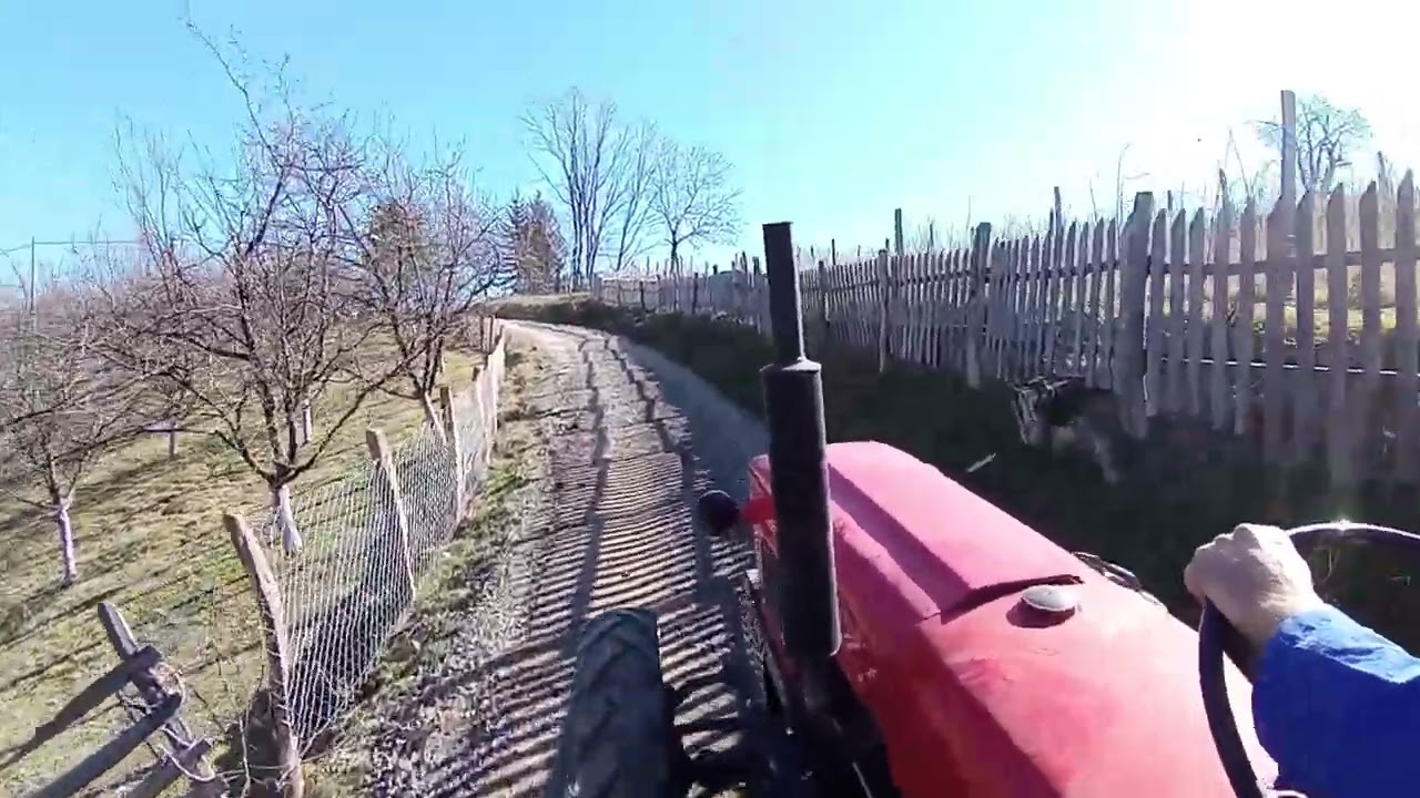 Izvlačenje zlata sa sela: Zetor 5545 u akciji sa stajskim đubrivom!