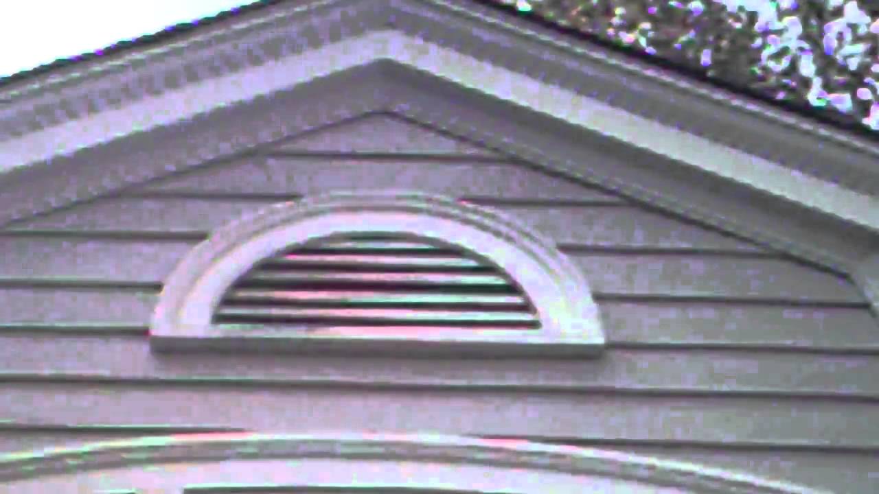 Bat entry into Akron Ohio Attic 304-395-1400