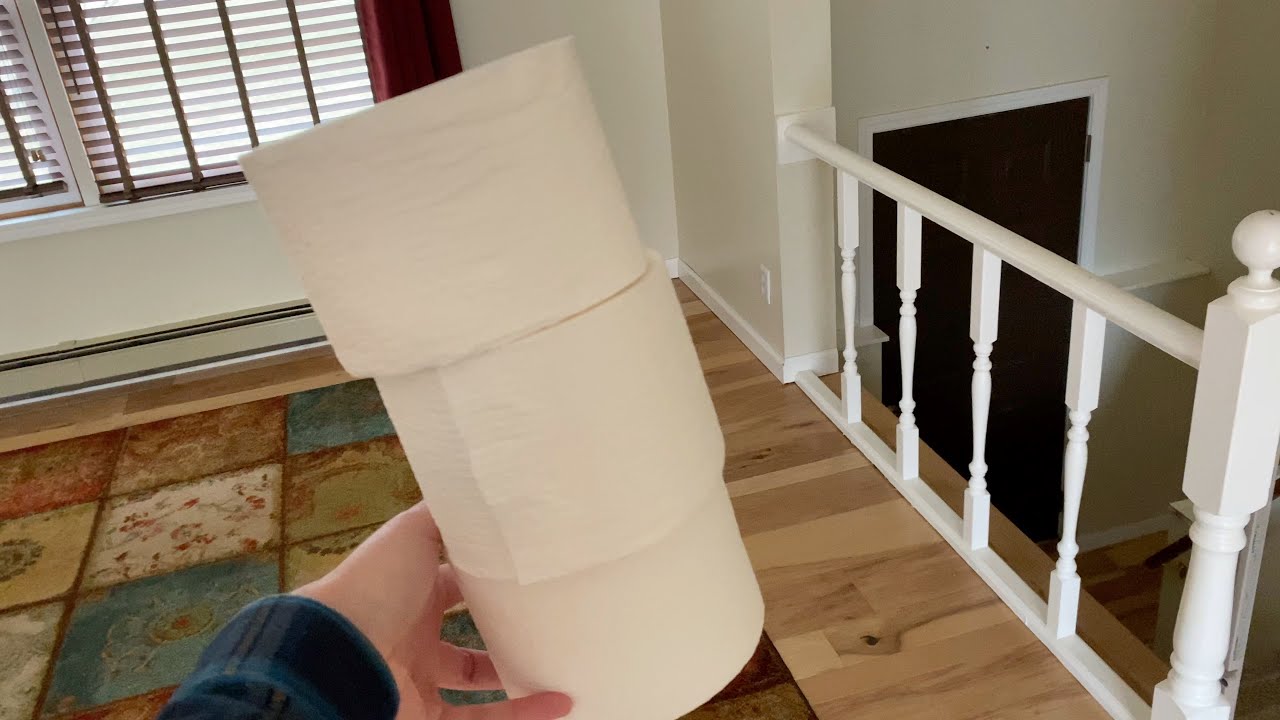 I STOLE TOILET PAPER...