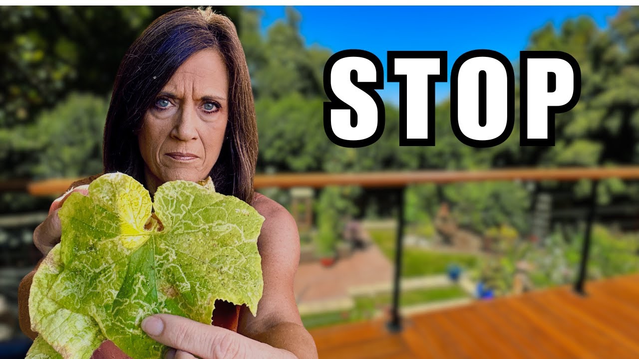 STOP Garden Pests With Organic Solutions/Aphids, Cabbage Loopers, Leaf Miners, Vine Borers, & More