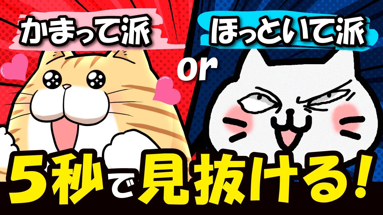 【猫の本音】あなたの猫は“かまって派”それとも“ほっといて派”？