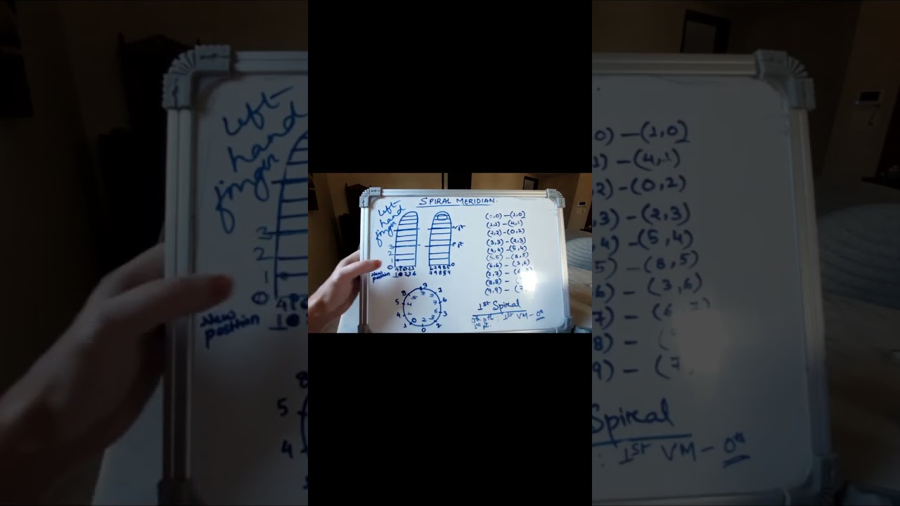 Ayurvedic Acupressure meridians -vertical meridian, horizontal meridian, spiral meridians -Part 3