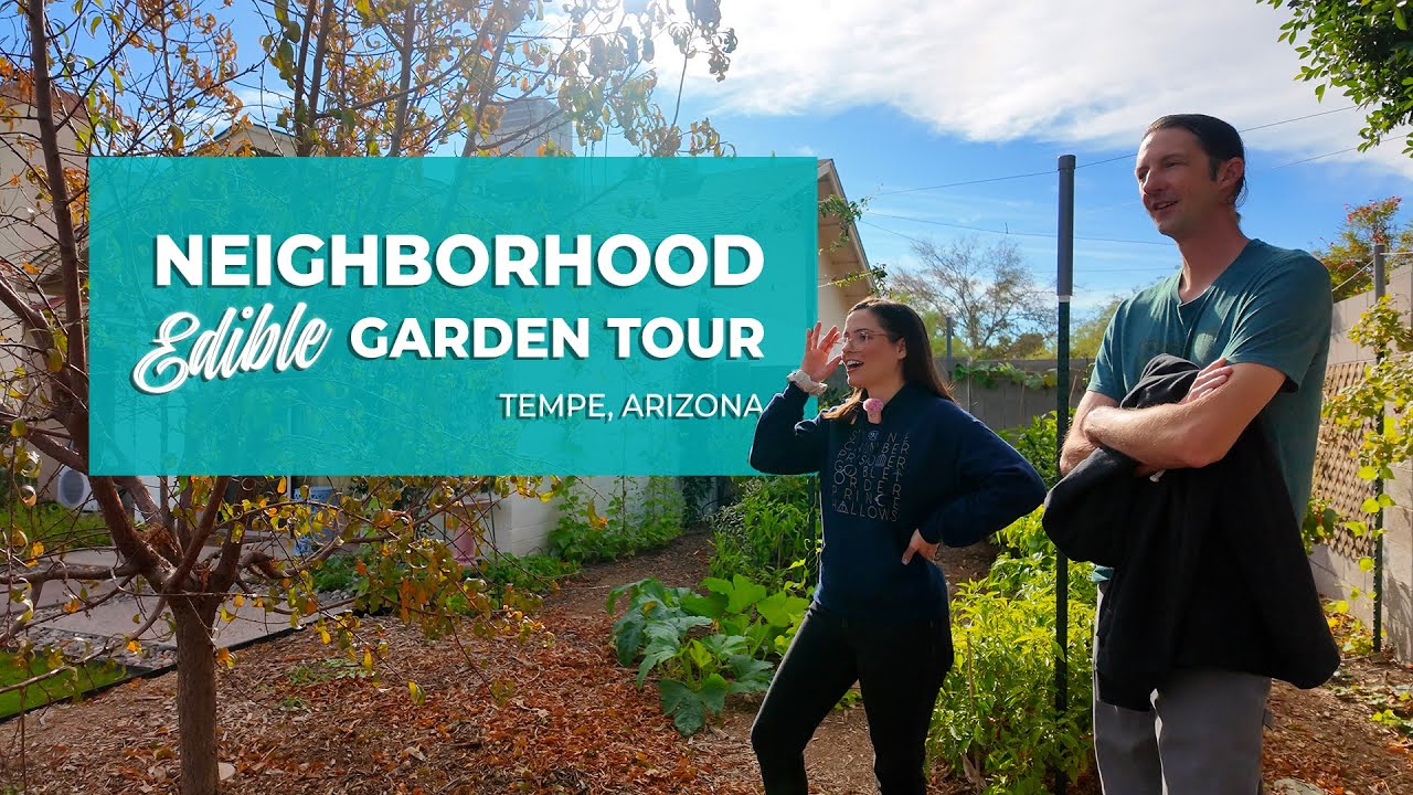 Kimberly and Jason's Do You Garden - Neighborhood Backyard Edible Garden Tour Series - Tempe, AZ