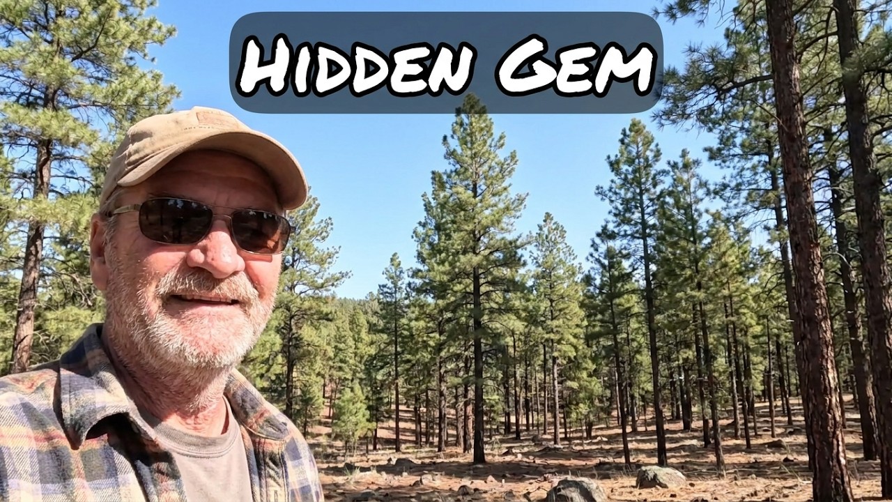 Solo Virtual Hike in the Ponderosa Pines Arizona 