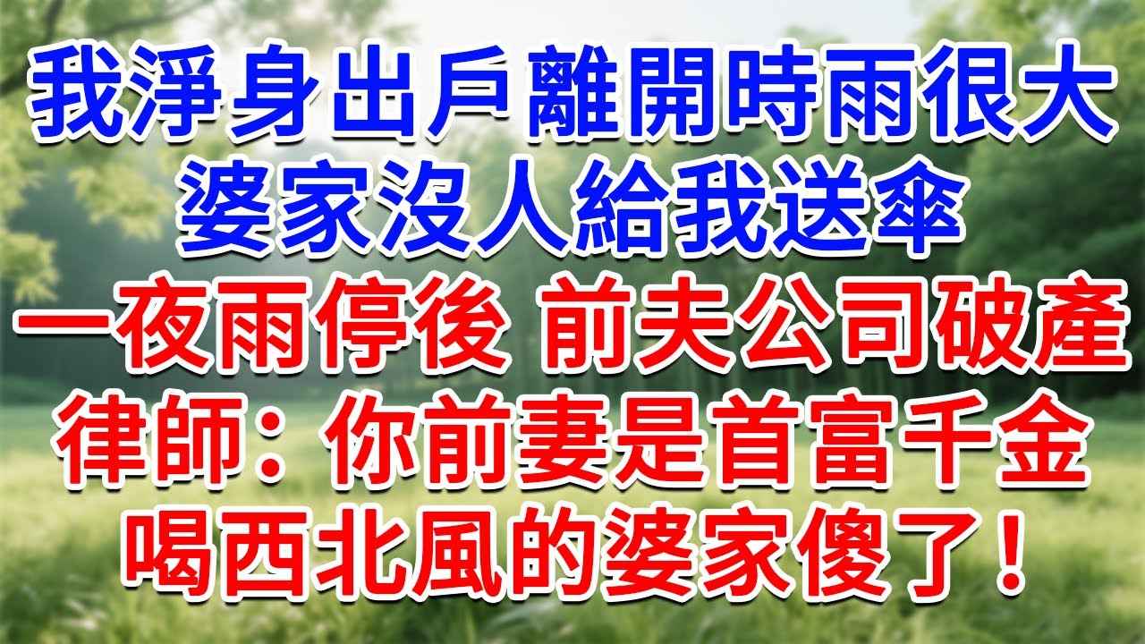我淨身出戶離開時雨很大，婆家沒人給我送傘，一夜雨停後 前夫公司破產 ，律師：你前妻是首富千金，喝西北風的婆家婆家傻了！#為人處世#生活經驗#情感故事#故事#小說#戀愛#情感#婚姻