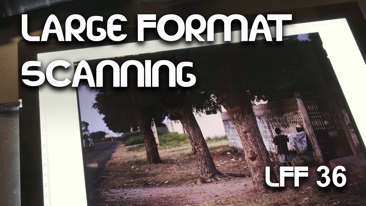 Sheet Film Scanning Considerations - Large Format Friday