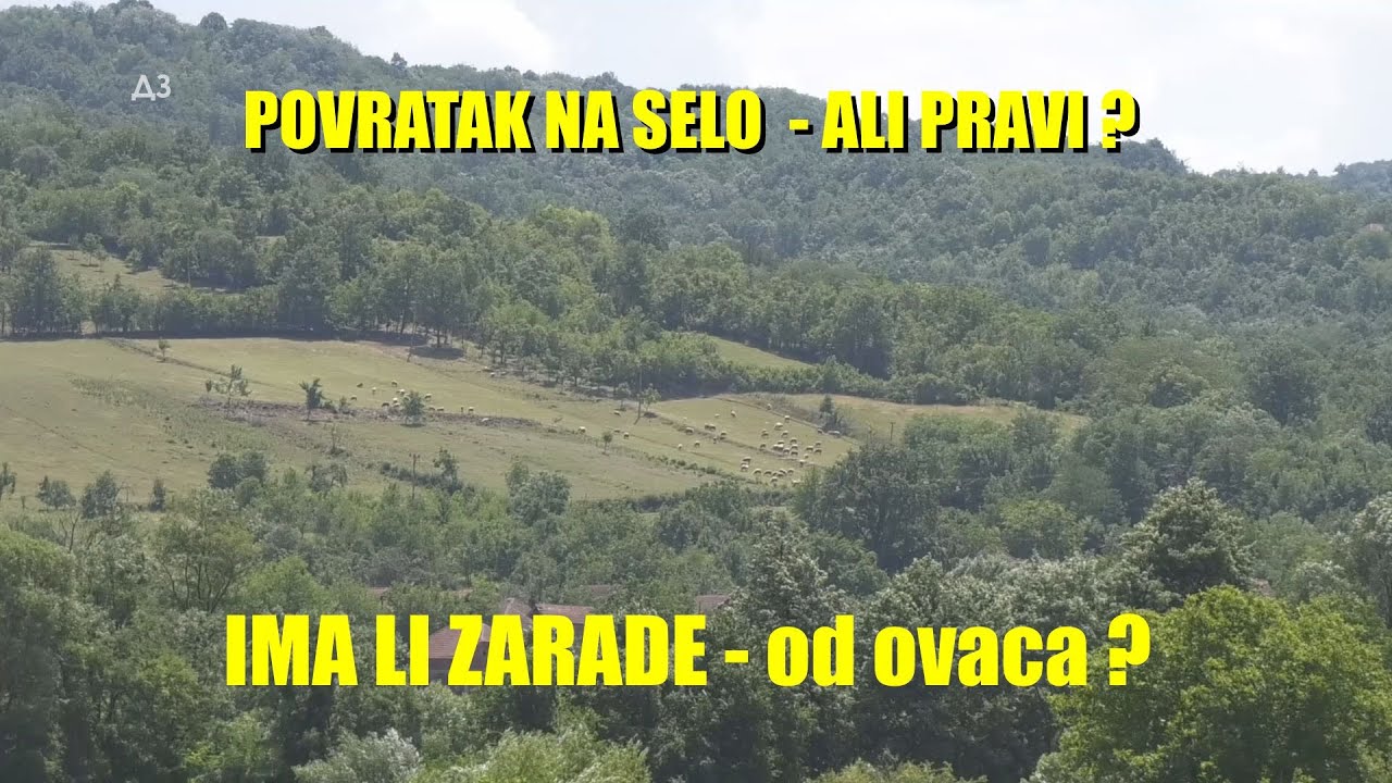 OVCE-Da li se STVARNO ISPLATI- OVO JE RAČUN  -SVAKI DAN MORAŠ DA ZARADIŠ -ovoliko da  bi bio na nuli