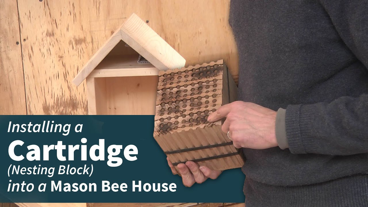 Using a Mason Bee Cartridge (Nesting Block)