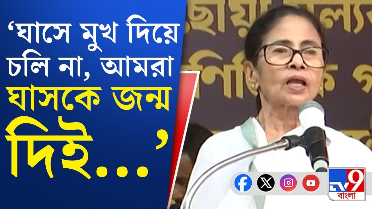 LPG Crisis News, Mamata Banerjee Rally: বুকের পাটা থাকলে দেখা! সবকটাকে লড়ে নেব: মমতা বন্দ্যোপাধ্যায়