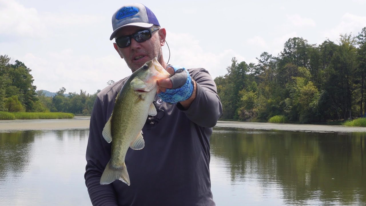 Scouting Around on Lake Chickamauga