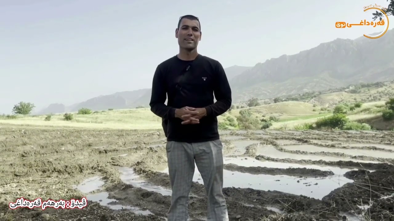 چاندنی مەرەزە لە گوندی تافان لە قەزای قەرەداغ /2023