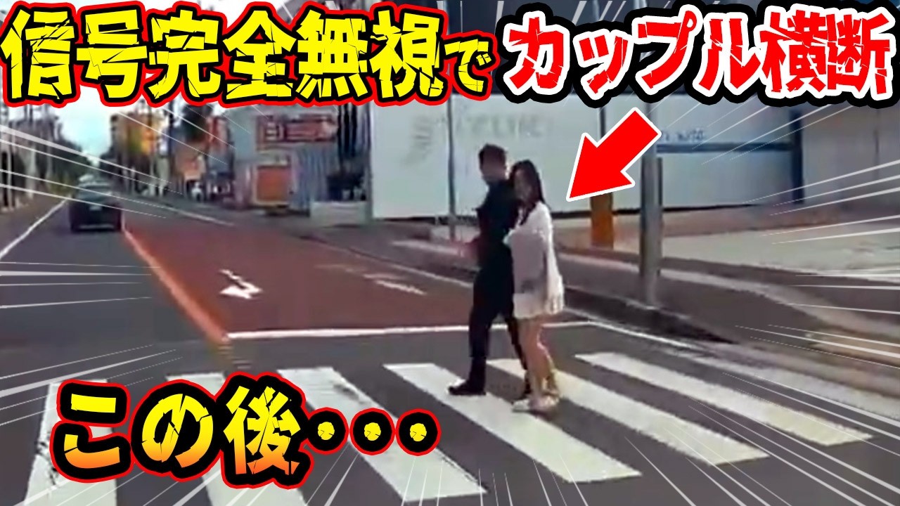 【ドラレコ総集編】ア〇すぎるｗ赤信号を完全無視して横断するカップルこの後   【交通安全推進、危機予知トレーニング】【スカッと】