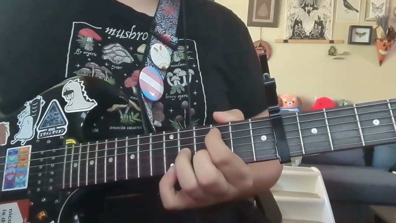 Algae Bloom - Lists/Leaves (Guitar Cover)
