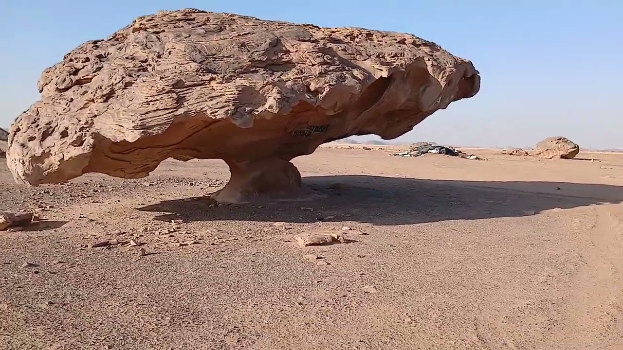 MASHROOM STONE ON EARTH 