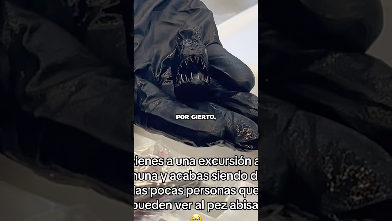Pez Diablo Negro Falleci&oacute; a las 2 horas