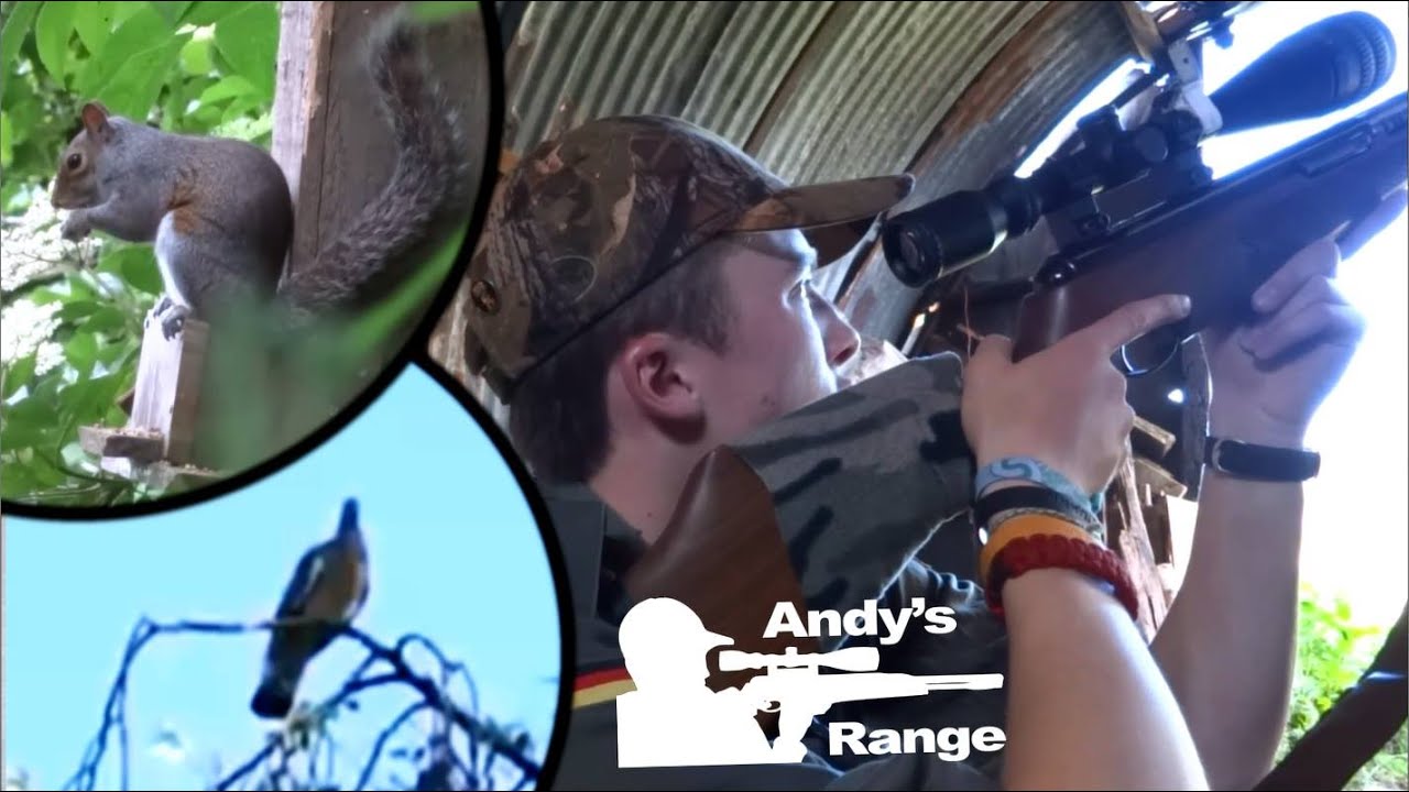 Охота на голубей и белок с помощью Air Arms TX200HC