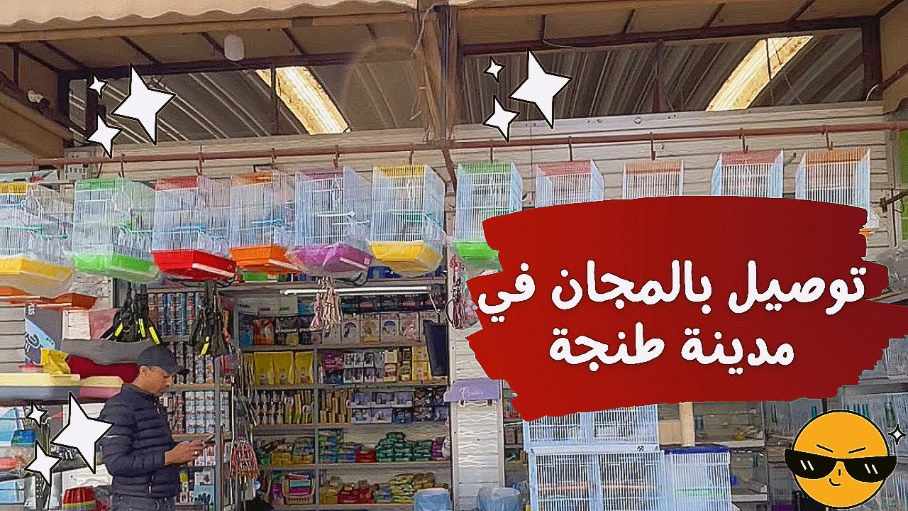 مستلزمات القطط والكلاب بالجملة و التقسيط عند الأخ زهير