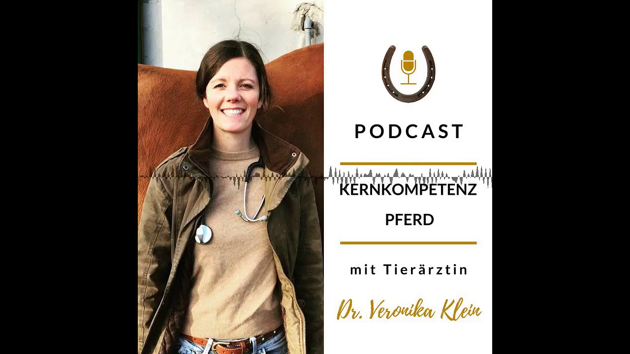 Trainingstherapie bei Pferden