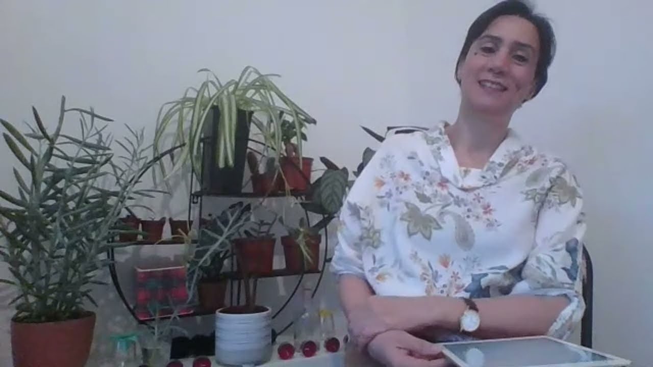 لماذا ترفض الأديان السماوية الزواج المدني؟