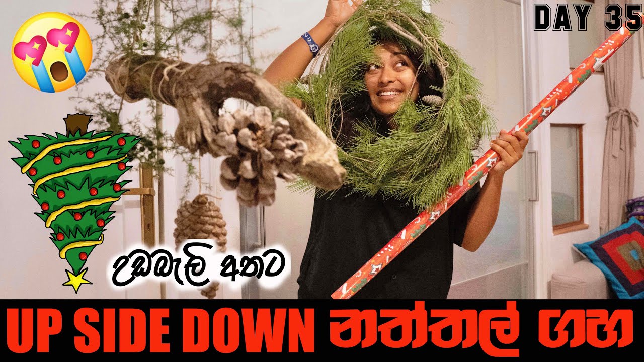 ඔලුවෙන් අතට හදපු නත්තල් ගහ🎄😎| CHRISTMAS TREE🎁| දූපතේ ජීවිතේ DAY-35 | BINARIO12 | VLOGSMAS