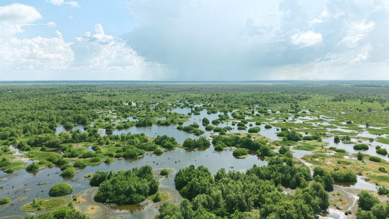 Bigi Pan from the air (Suriname)