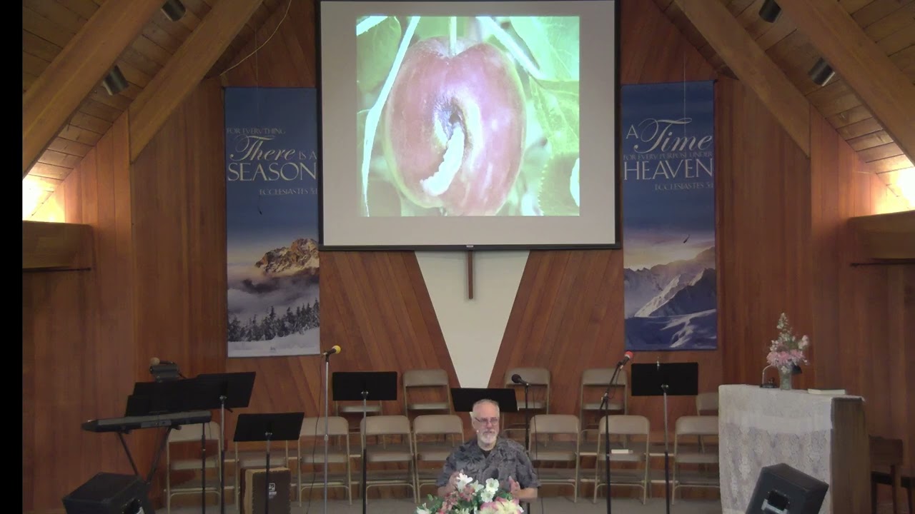 Genisis 3:1-6  Life and Death