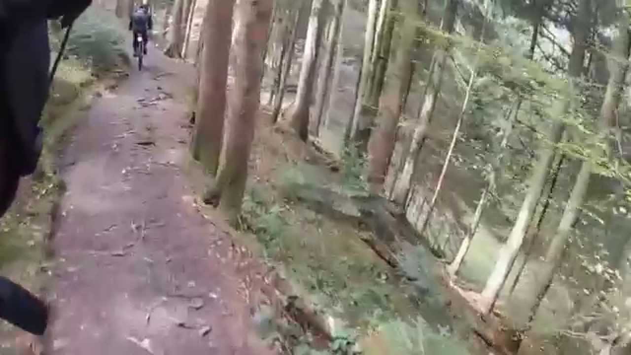Taubenberg Trail