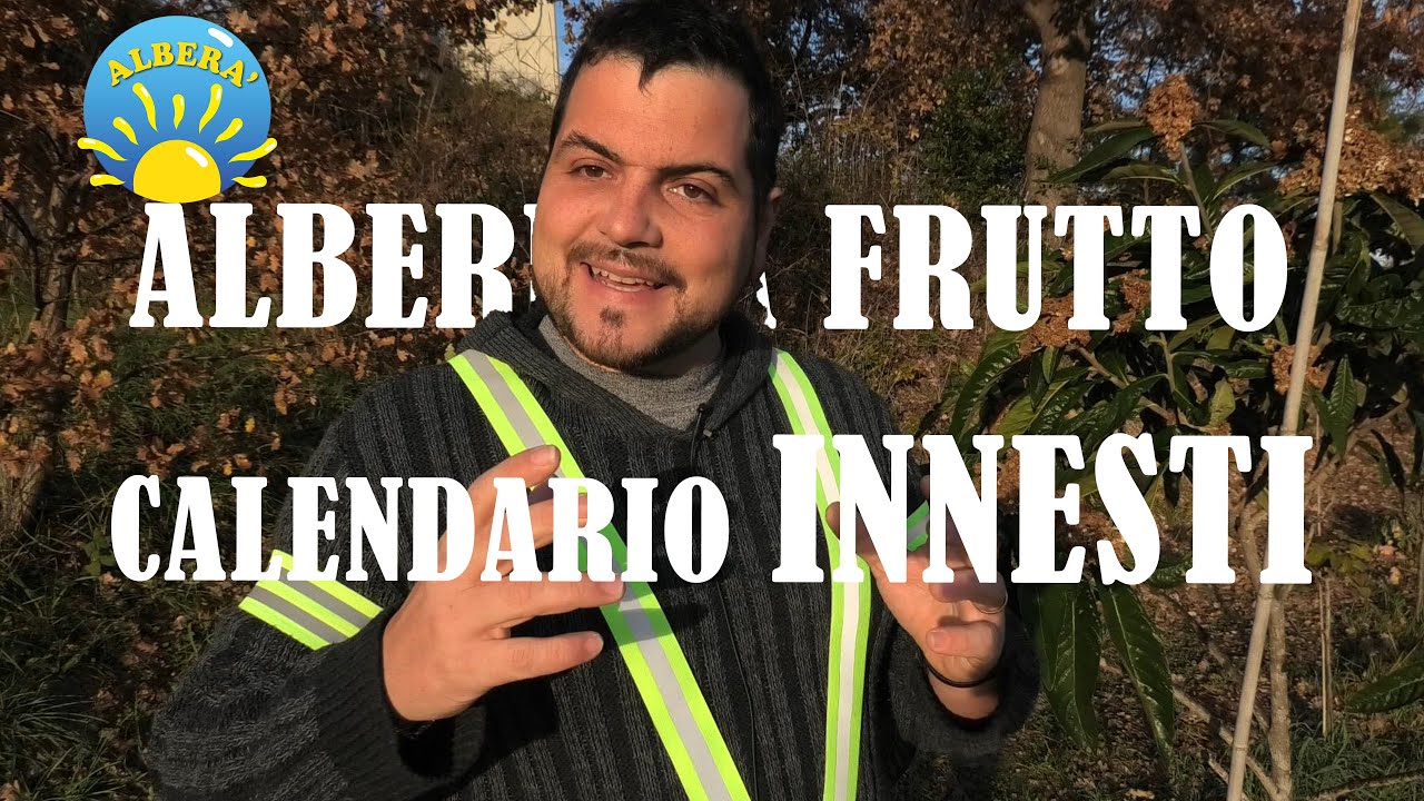CALENDARIO INNESTI (QUANDO INNESTARE E COME INNESTARE ALBERI DA FRUTTO)
