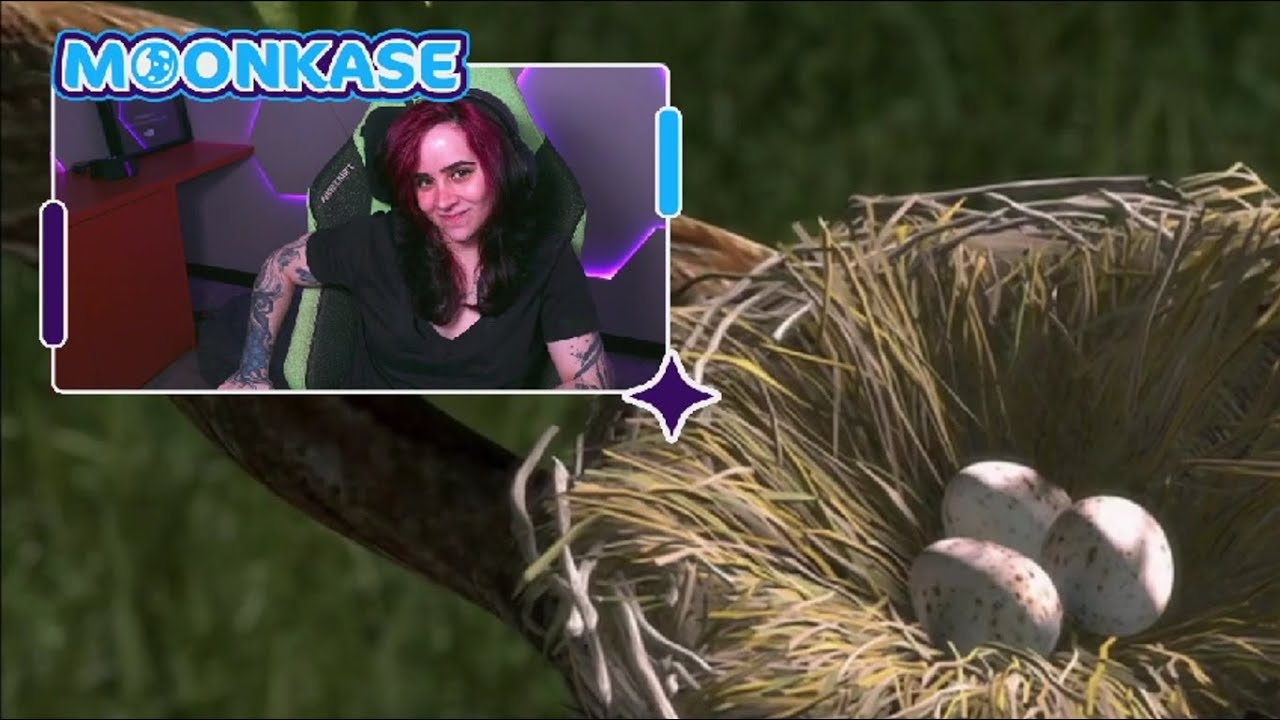 TRAUMATIZARAM A MARA KKKKKKKKK