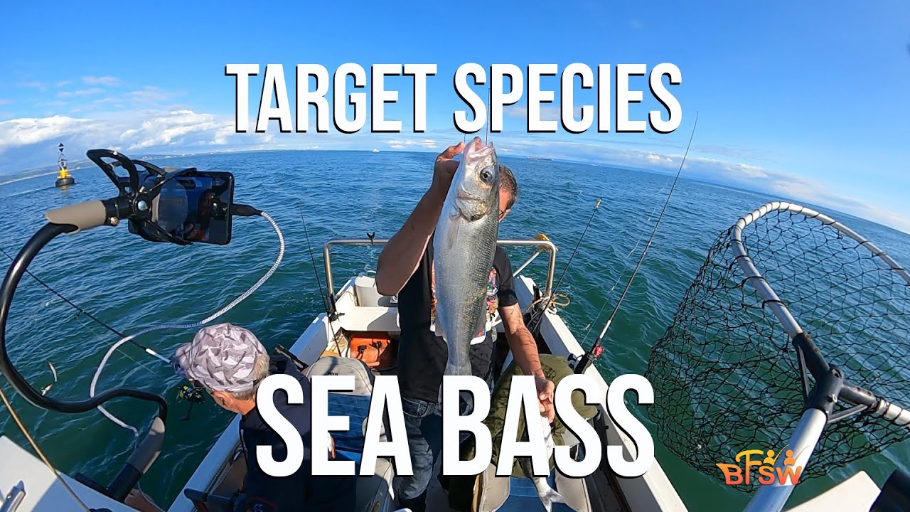 Target Species Sea Bass
