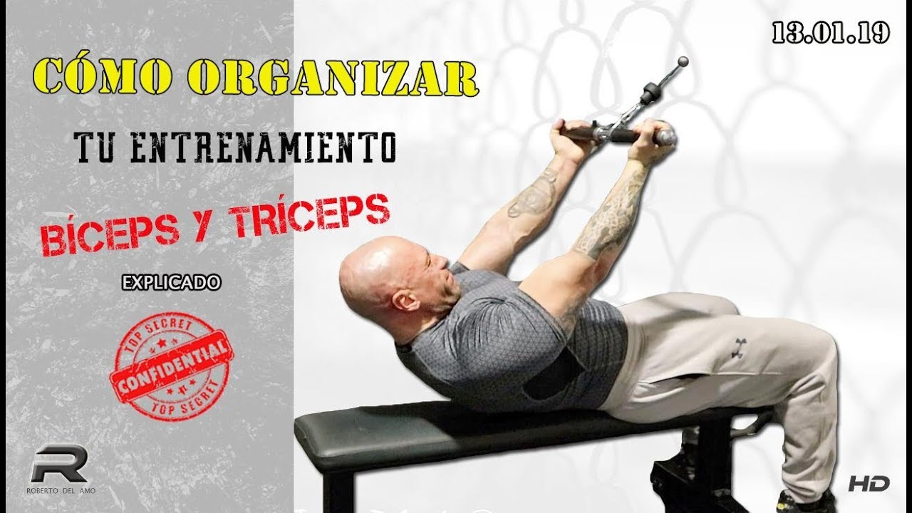 cómo organizar tu entrenamiento bíceps y triceps