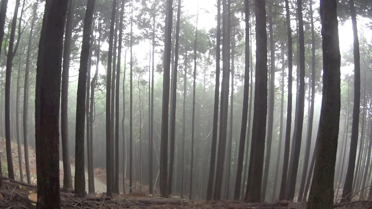 【ひとり登山部LOG】#3 箱根外輪 鷹巣山・浅間山 霧を見に行く【HDR-AS100V】