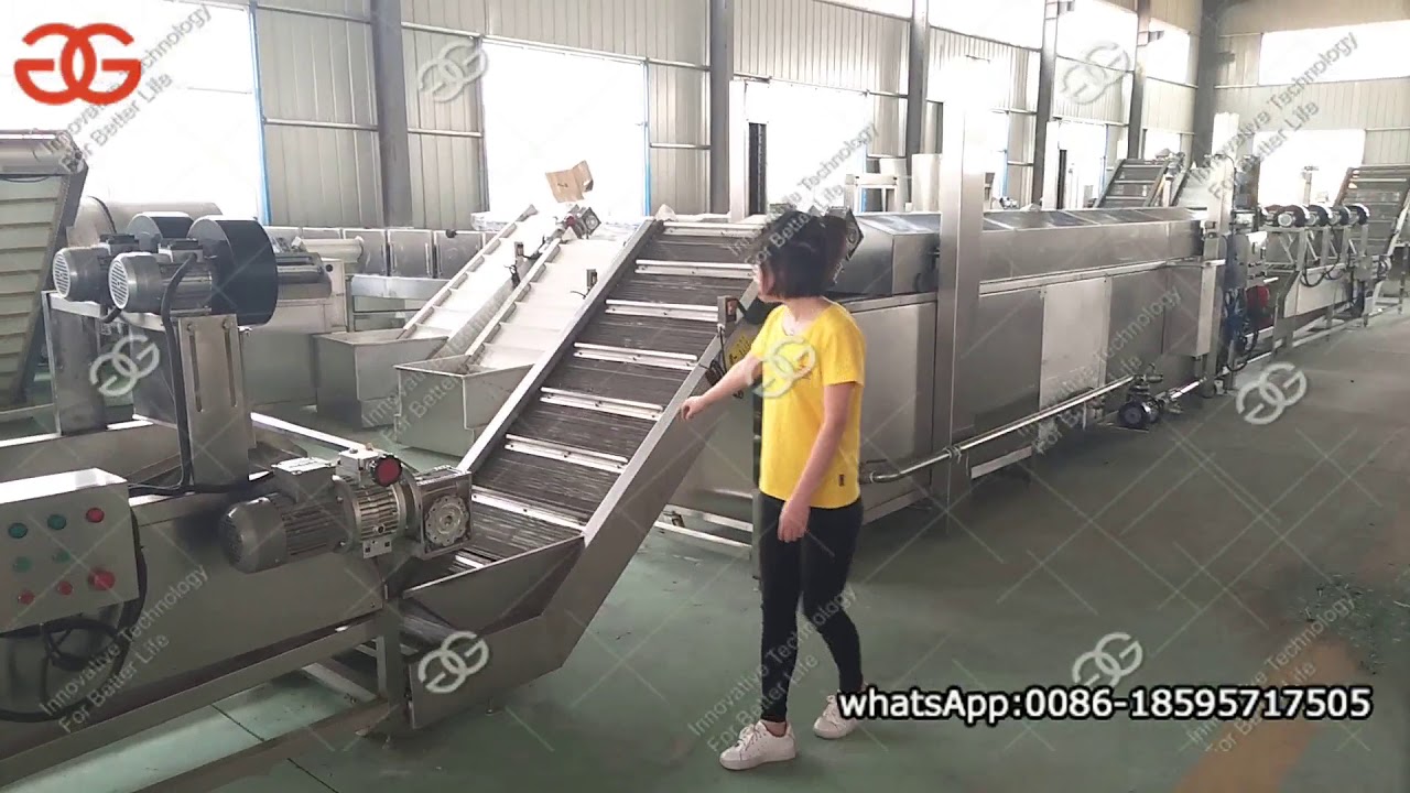 500 kg/h Frozen French Fries Production Line for Egypt Customer
