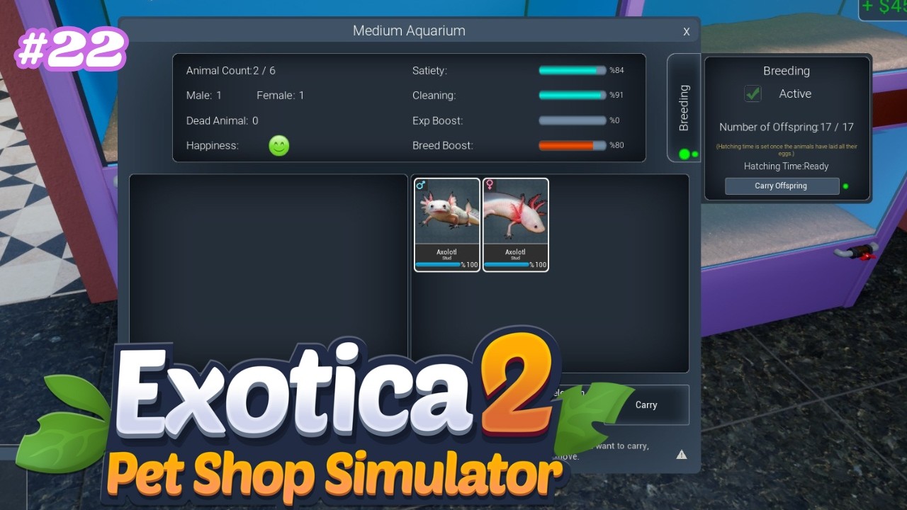 Так много новых малышей! - Exotica 2 Pet Shop Simulator EP22
