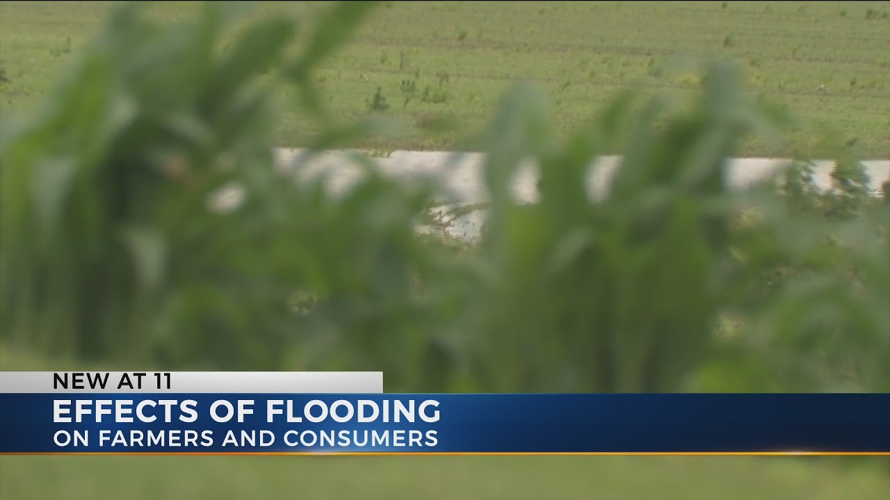 Effects of Flooding on farmers and consumers