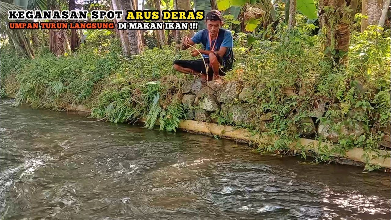 Full Strike || Mancing Wader & Uceng Di Sungai Air Jernih Arus Deras