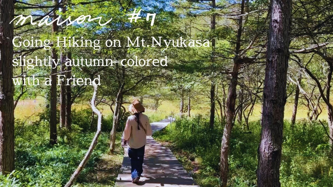 vlog#7 ひとり八ヶ岳移住 | 秋色始まる入笠山ハイキングと魔女ミーティング | Hiking on Mt.Nyukasa and Tarot Reading