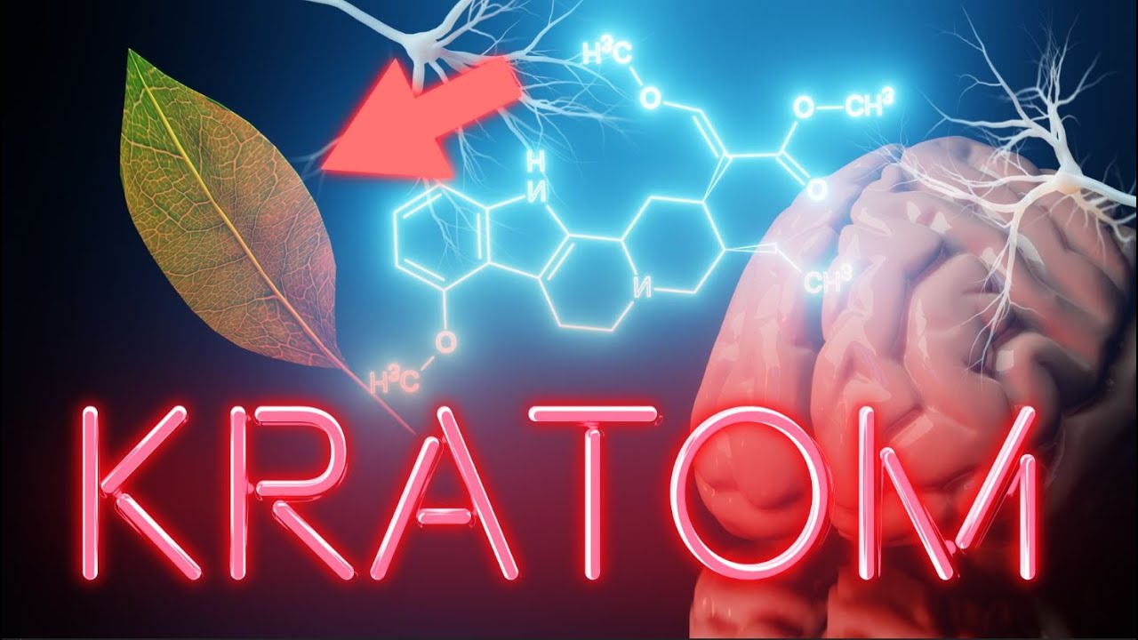 KRATOM - Čaj s účinkami HEROÍNU?