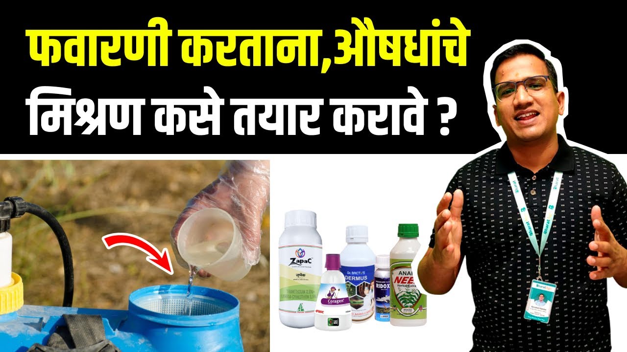 फवारणी करताना औषधांचे मिश्रण कसे तयार करावे ?