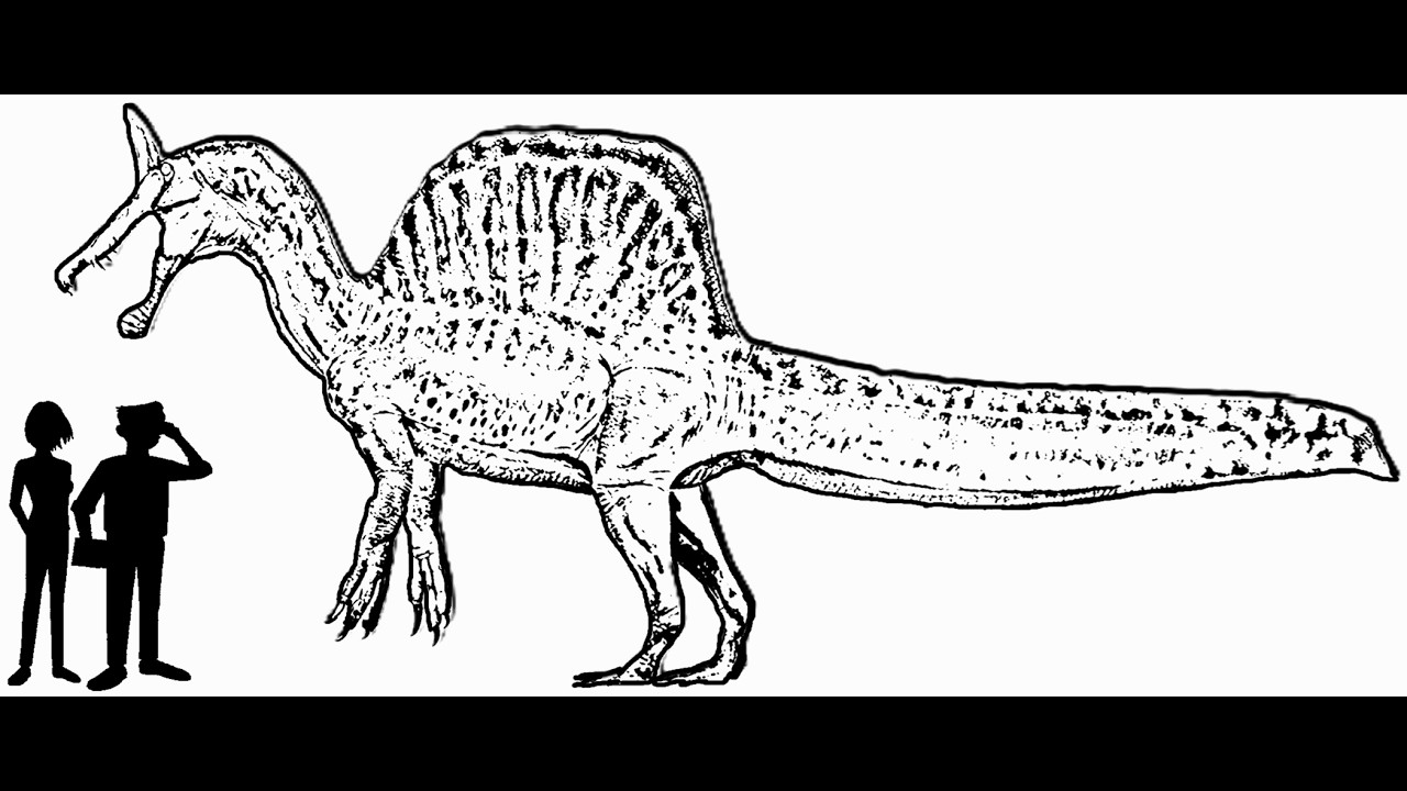 Sondermeldung zu Spinosaurus mirabilis (Sereno et al  2026)