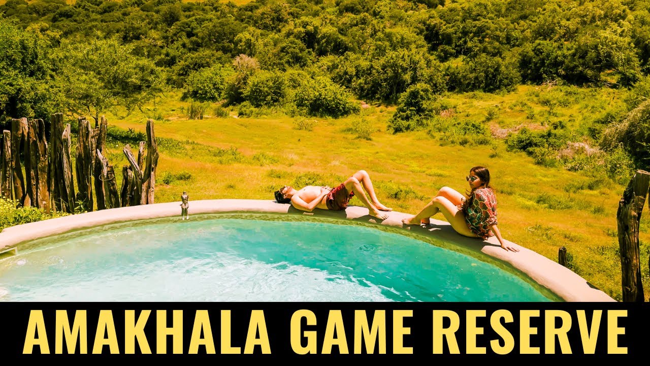 South Africa's Hidden Gem | AMAKHALA Game Reserve 🇿🇦