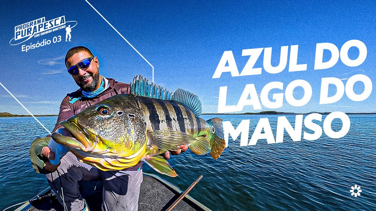 Variedade impressionante de tucunarés no Manso Fishing Resort (MT) | Pura Pesca