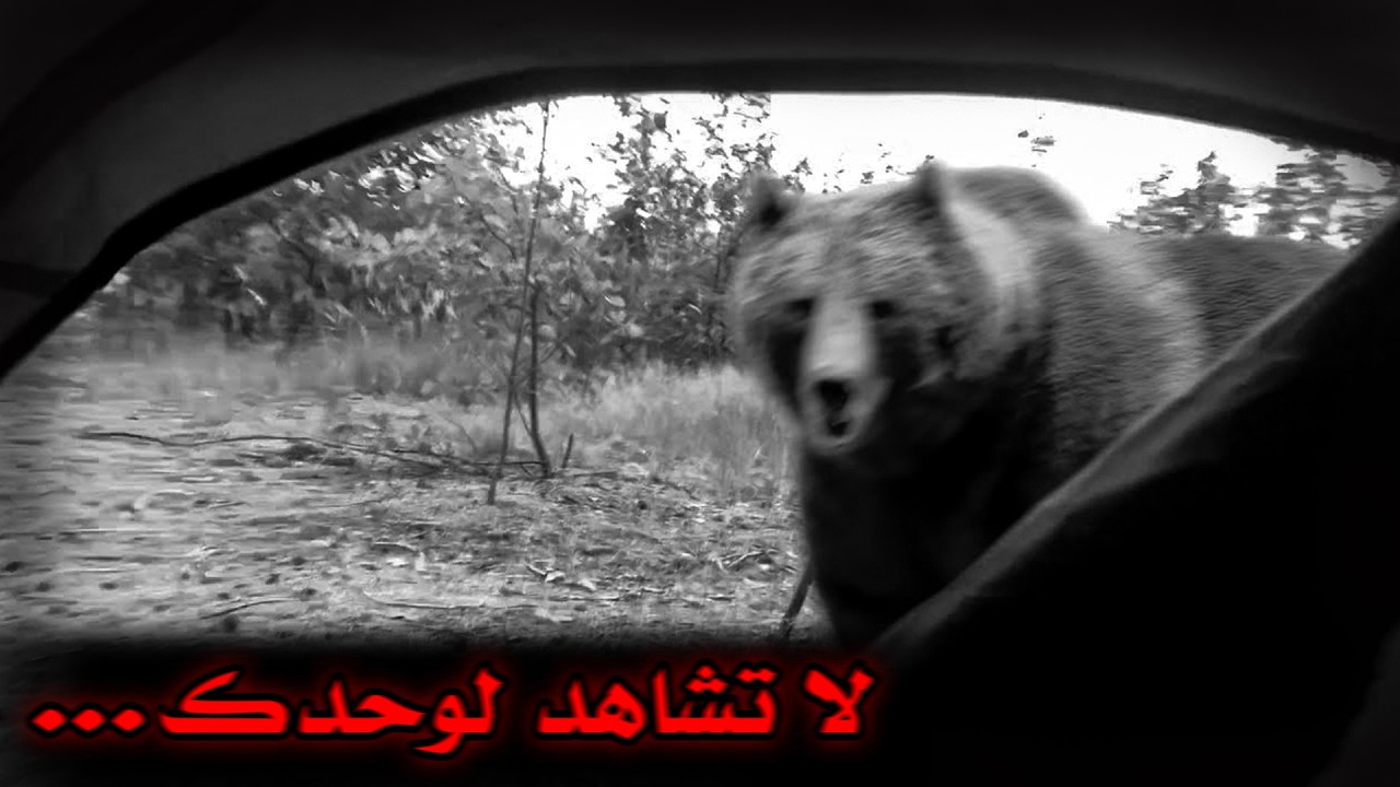 6 من أخطر و أرعب المواقف التي تم توثيقها للدببة العملاقة ضد البشر !!