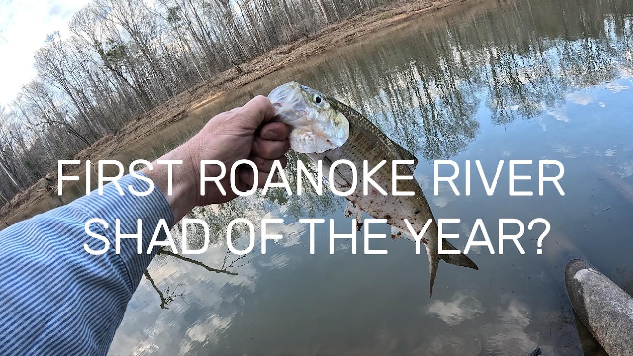 Sunday on the Farm | Dogs, Diesel, and the Roanoke River Shad Run