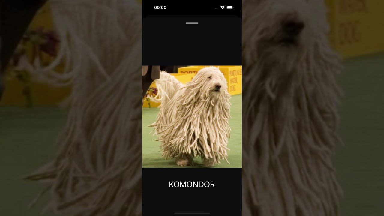 Swift MVVM Instadogs