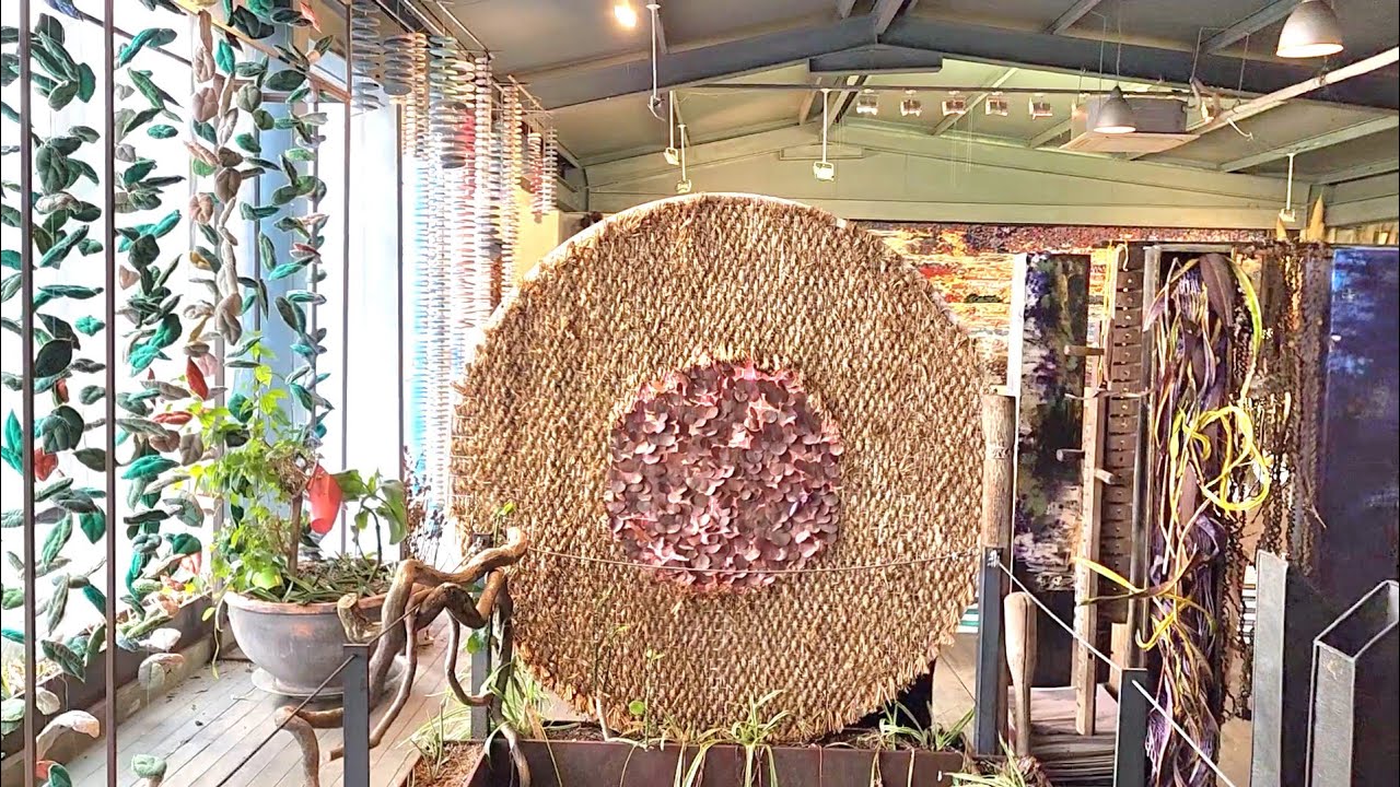 감각이 깨어나는 공간, 