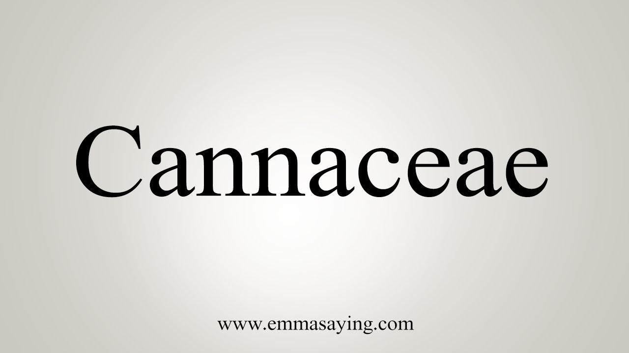 How To Say Cannaceae