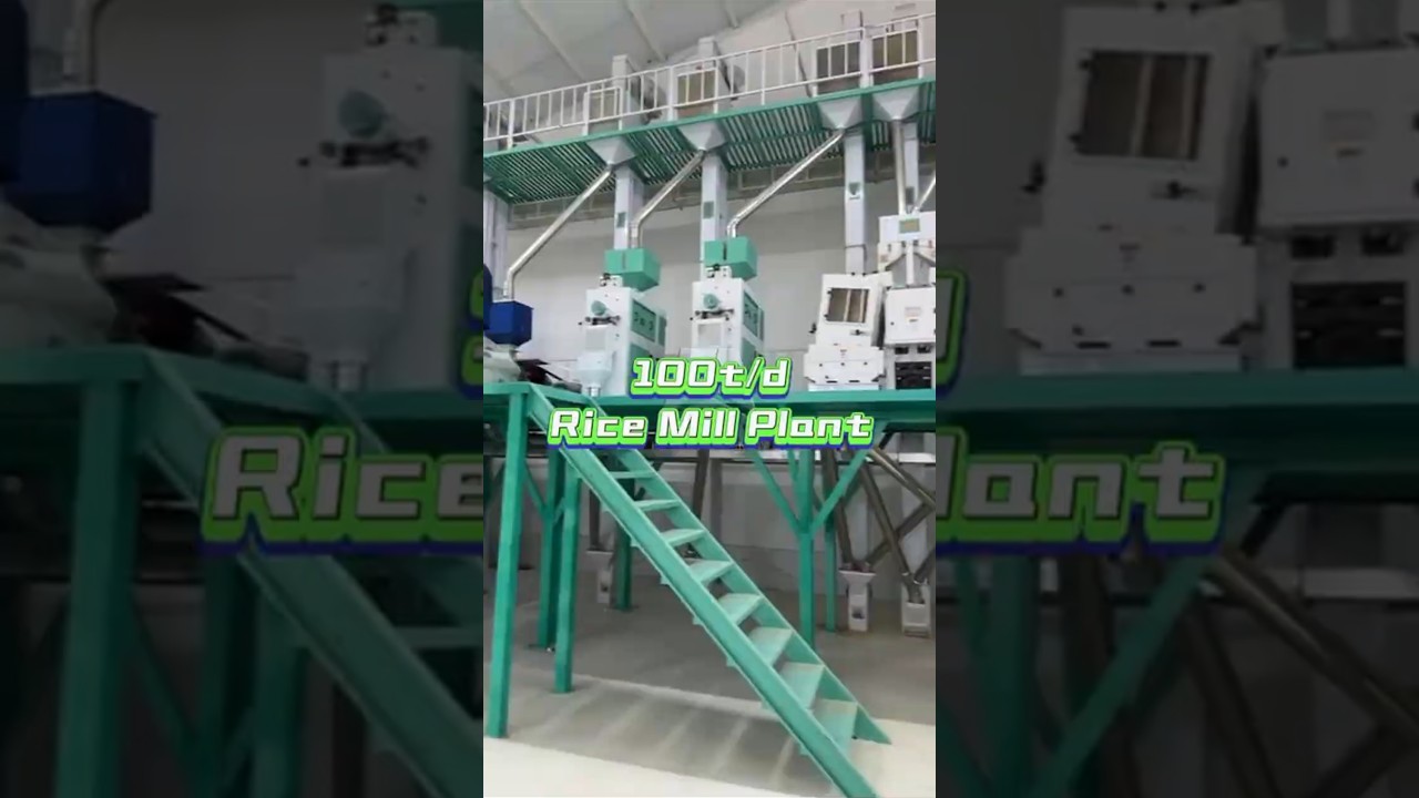 100T/D Rice Mill Machine | Rice Process Mill Project in Kazakhstan #ricemillsupplier #ricemill