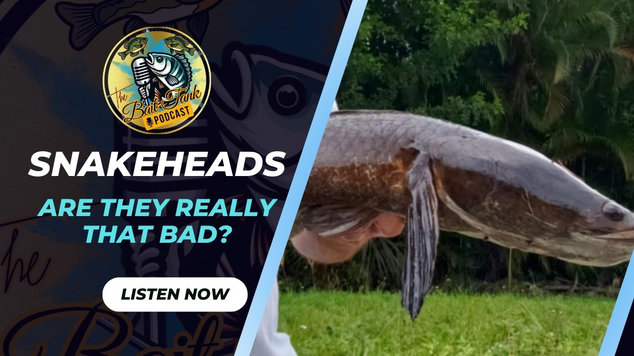 Everything You Need to Know About Snakehead Fish in the U.S.